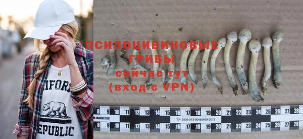мдпв Магас